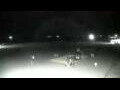 Webcam Cavallino-Treporti