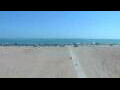 Webcam Cavallino-Treporti