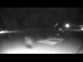 Webcam Cavallino-Treporti