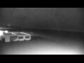 Webcam Cavallino-Treporti