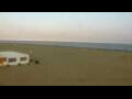 Webcam Cavallino-Treporti