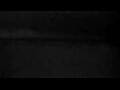 Webcam Cavallino-Treporti