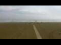 Webcam Cavallino-Treporti