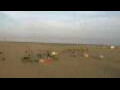 Webcam Cavallino-Treporti