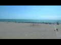 Webcam Cavallino-Treporti