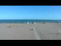 Webcam Cavallino-Treporti