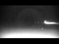 Webcam Cavallino-Treporti