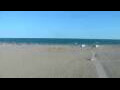 Webcam Cavallino-Treporti