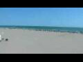 Webcam Cavallino-Treporti