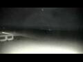 Webcam Cavallino-Treporti