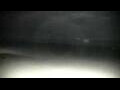 Webcam Cavallino-Treporti