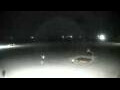 Webcam Cavallino-Treporti