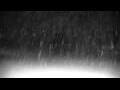 Webcam Cavallino-Treporti