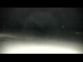 Webcam Cavallino-Treporti