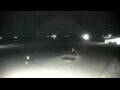Webcam Cavallino-Treporti