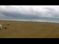 Webcam Cavallino-Treporti