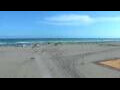 Webcam Cavallino-Treporti