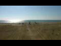 Webcam Cavallino-Treporti