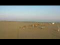 Webcam Cavallino-Treporti