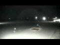 Webcam Cavallino-Treporti