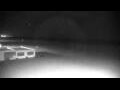 Webcam Cavallino-Treporti