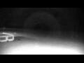 Webcam Cavallino-Treporti