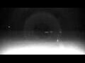 Webcam Cavallino-Treporti