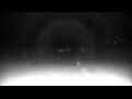 Webcam Cavallino-Treporti