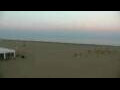 Webcam Cavallino-Treporti