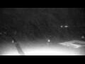 Webcam Cavallino-Treporti
