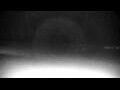 Webcam Cavallino-Treporti
