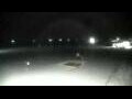 Webcam Cavallino-Treporti