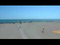 Webcam Cavallino-Treporti