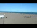 Webcam Cavallino-Treporti