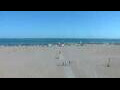Webcam Cavallino-Treporti