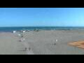 Webcam Cavallino-Treporti