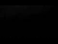 Webcam Cavallino-Treporti