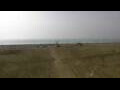 Webcam Cavallino-Treporti
