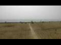 Webcam Cavallino-Treporti
