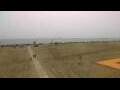 Webcam Cavallino-Treporti