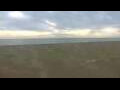 Webcam Cavallino-Treporti