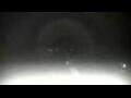 Webcam Cavallino-Treporti