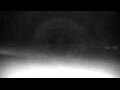Webcam Cavallino-Treporti
