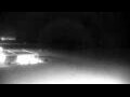 Webcam Cavallino-Treporti