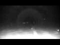 Webcam Cavallino-Treporti