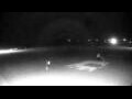 Webcam Cavallino-Treporti