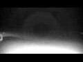 Webcam Cavallino-Treporti