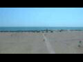 Webcam Cavallino-Treporti