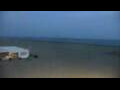 Webcam Cavallino-Treporti