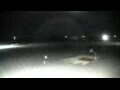 Webcam Cavallino-Treporti